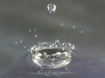 Reflective Crown