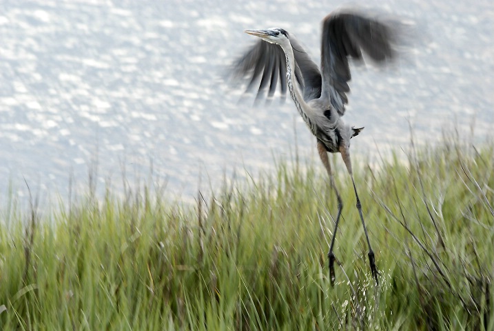 The Takeoff