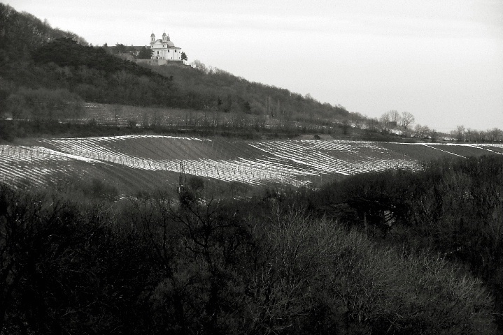 Kahlenberg