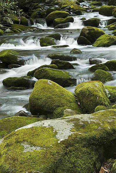 moss covered rocks - ID: 2223396 © Brian d. Reed