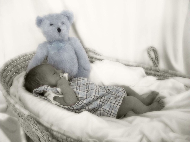 Little Blue Bear...