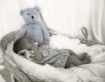Little Blue Bear....