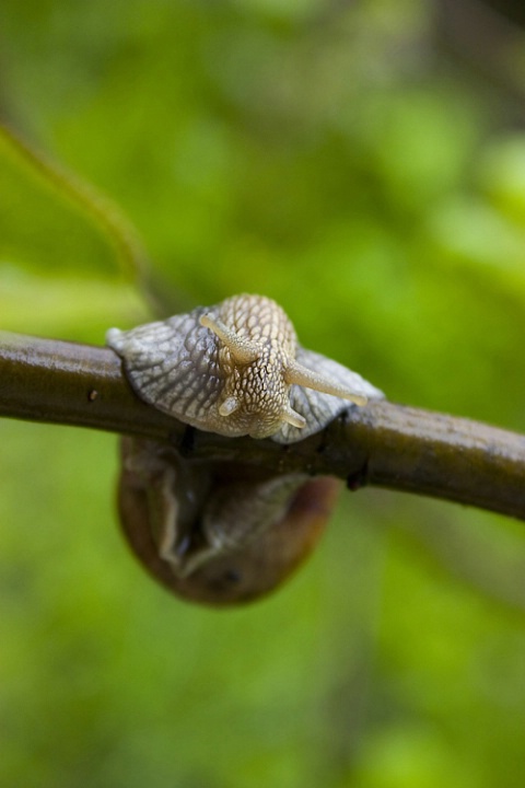 Just hanging around...