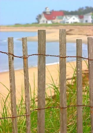 ~At The Beach~