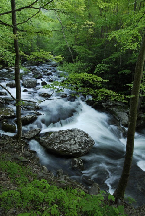 Falls at Tremont