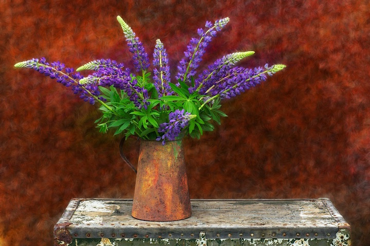 Still Life With Lupine