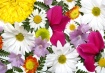 Garden Party
