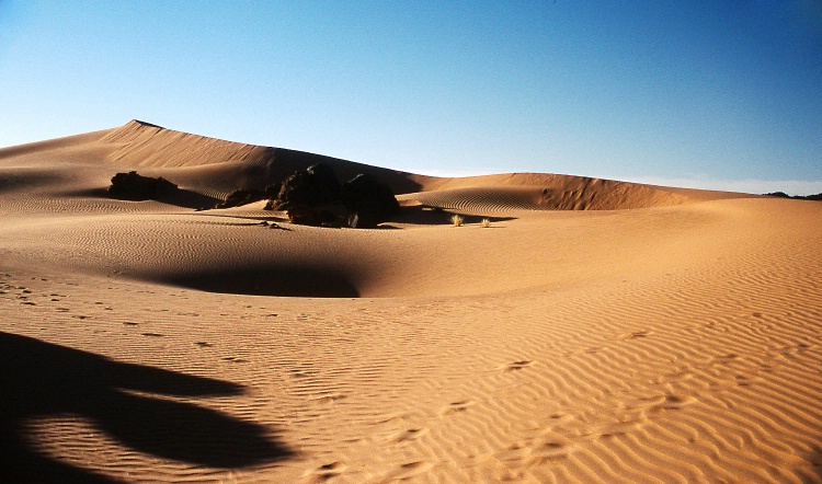 Dunes South-West of Djanet