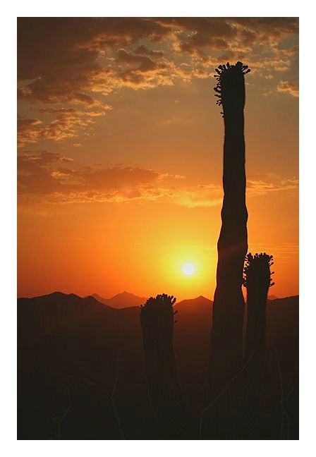 Sunset at Gates Pass Tucson AZ