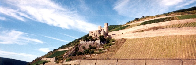 img7
