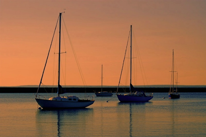 Tranquil Harbor