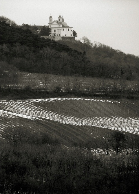 Kahlenberg