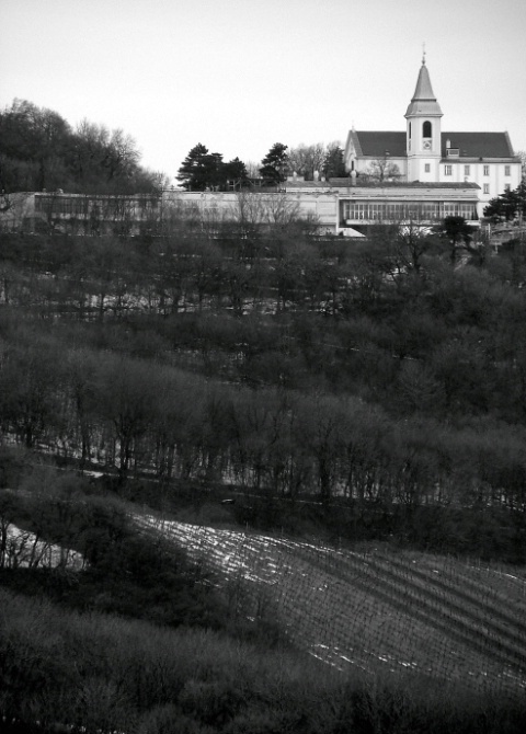 Kahlenberg