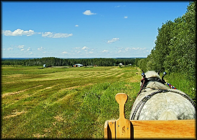 View from a Wagon