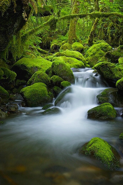 Columbia River Gorge Cascade