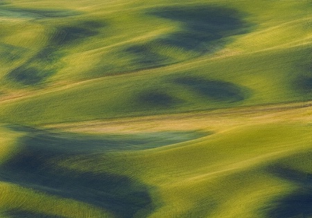 Palouse Impressionism