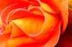 sideways orange