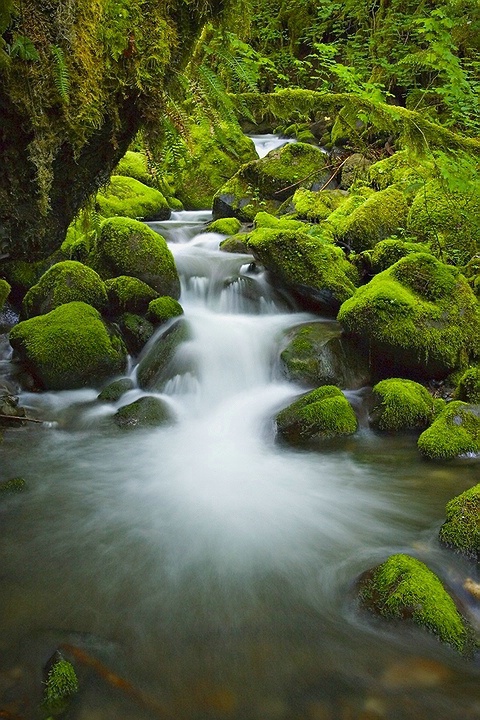 Gorge Stream 3