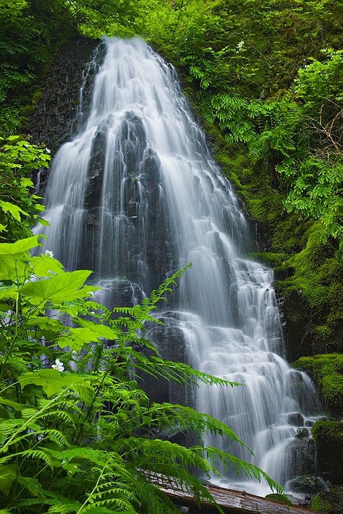 Fairy Falls 2