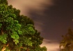 A Night Sky