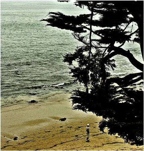 Beach Solitude