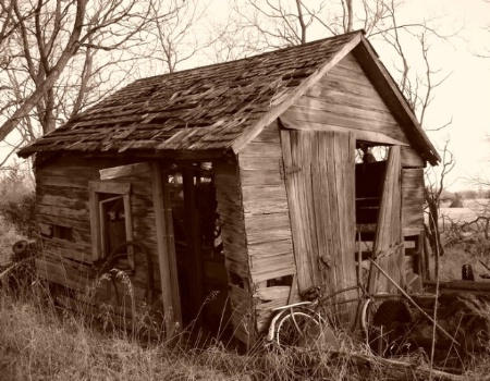 Old Shed