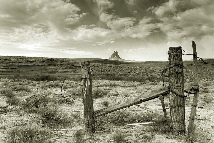 New Mexico Desolation