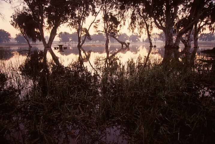 Winter Pond