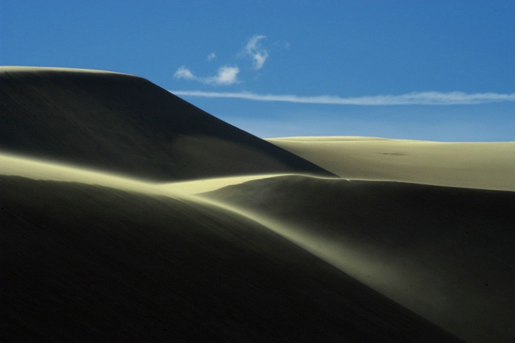 Dunes In The Wind