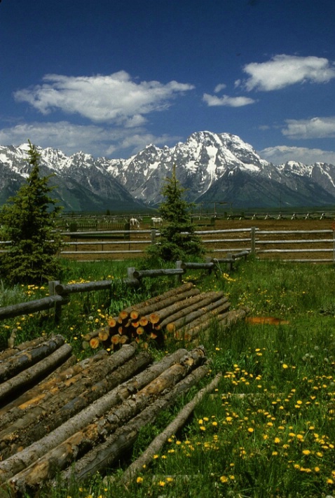 Dude Ranch - ID: 2291012 © Stanley Singer