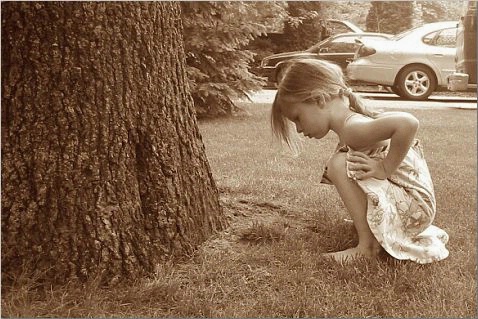 Curiosity 