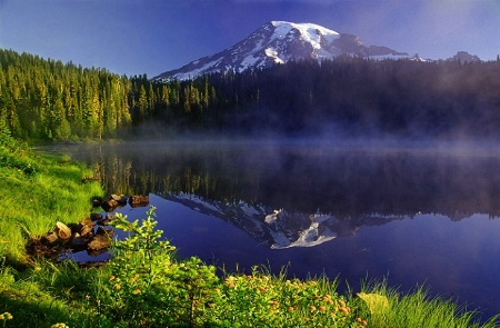 WA-1001, Mt. Rainier National Park