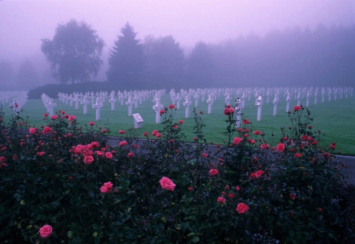 Fallen Heroes - ID: 2308586 © Stanley Singer