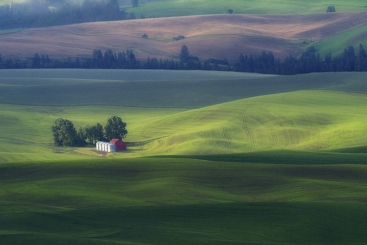 Palouse Hills