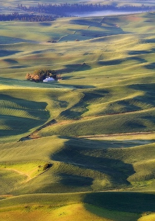 The Palouse