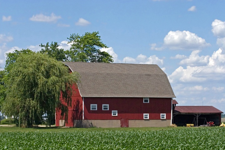 Red Barn in Early Summer