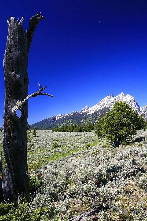 The Hole Tetons