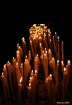 candle light