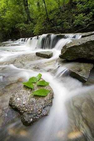 Sharonwoods Falls #5