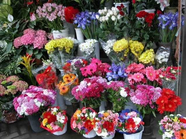 Flower vendor in France