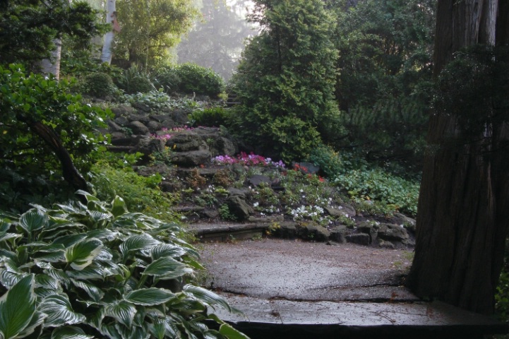Morning Mist in Toronto Botanical Gardens