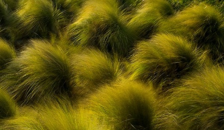 On a windy day