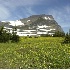 © Jacqueline Stoken PhotoID# 2339293: Logan Pass Meadow