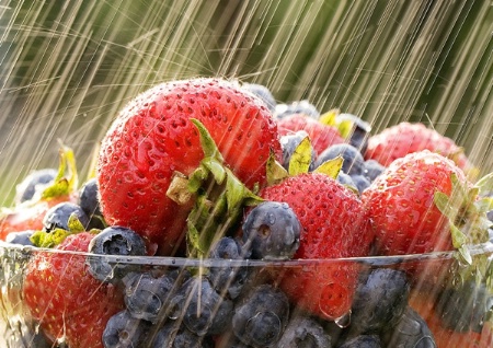 Berries in the rain