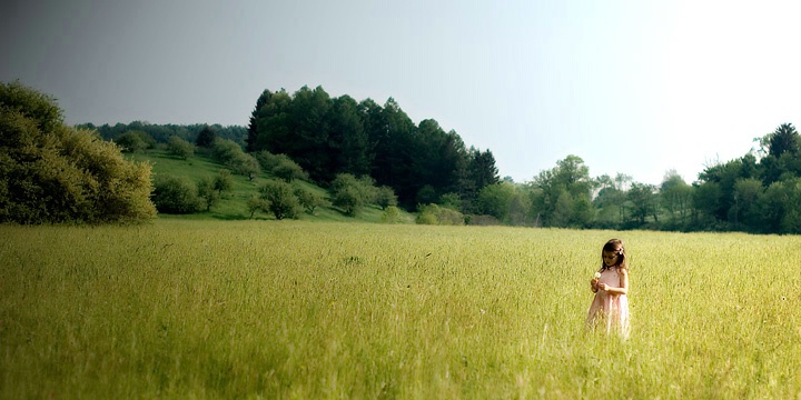 Field of Dreams