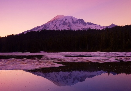 Last Rays of Rainier