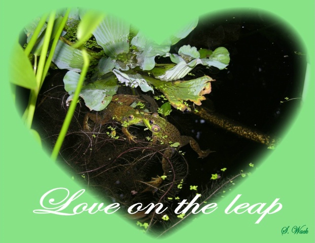 Love on the leap
