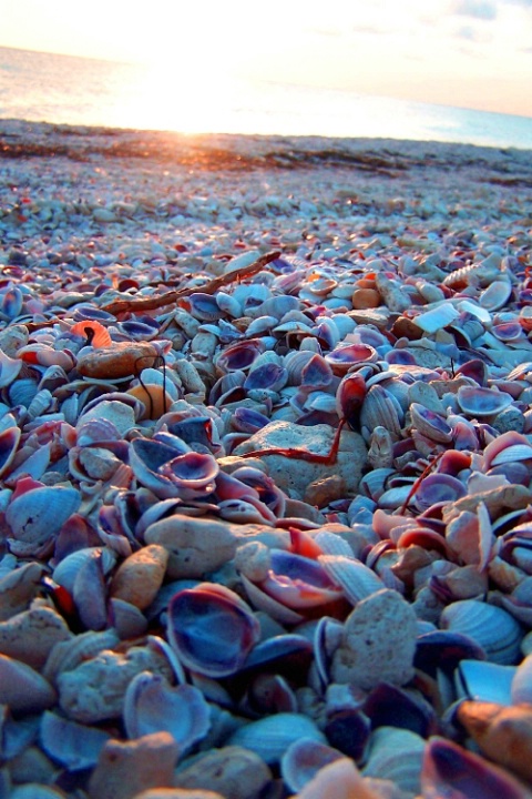 Honeymoon Beach, FL