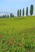 Tuscany