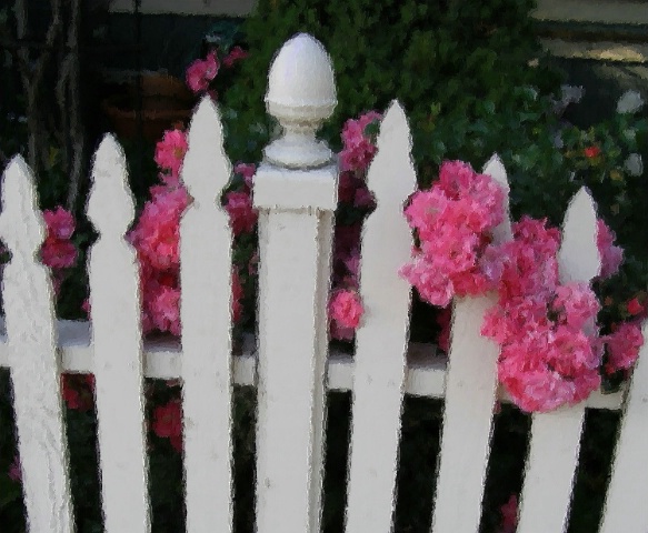 Petaluma fence with brush strokes